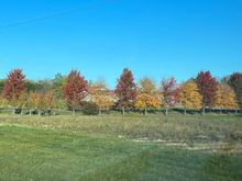a more typical farm lane.