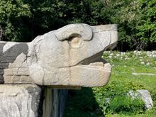 Detail of a snake head