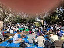 Crowds (but no cherry blooms...)