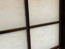 Love the graceful frond design in the rice paper door