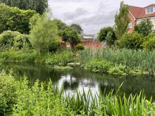 Lot's of nice houses on the river with landscaped backyards but I can't help but think it can get dicey in a really wet winter.