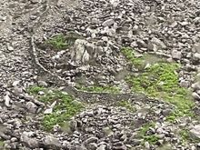 I guess they had more than enough stones to build this wall