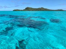 Amazing colors from our excursion in Bora Bora