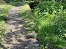 I'm actually walking on the wall. There is a little bit here to walk on.  People hike the entire wall and we saw a number of people with trekking bags.