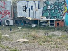 People have built shelters for the feral cats