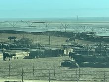 This is big feed lot on 5.  You can smell it for about two miles before you see it!