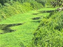 This is a shot in Discovery Park in Sacramento.  We stopped for lunch.