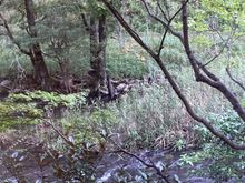 The river beside the hot spring