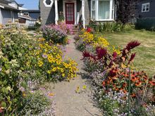 This house really took care of the garden along the walkway.