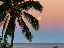 The recent harvest moon.