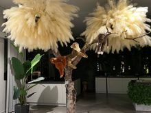 Like breakfast in a jungle at The Bled Rose Hotel