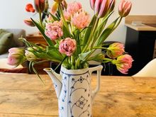 Tulips in our Airbnb in Haarlem last week. 