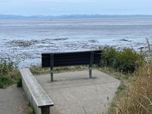 This is where we had lunch!  Great site looking over the bay toward Canada.  We say 5 sea lions swimming front of us.