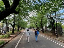 Walking through Yanaka Cemetery