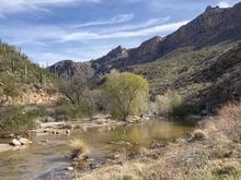 Sabino Canyon