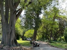 Lovely green spaces 