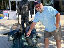 It's been almost 50 years since I scratched a pig behind their ear. Hope it's another 50.