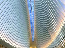 “Fish bone” structure inside One World  transport hub