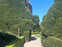 Powis - crazy overgrown topiary!