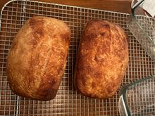 They're not perfect but I sure have a lot of people 'inquiring' if I have any extra bread.