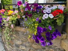 Flowers at the Victoria's Restaurant