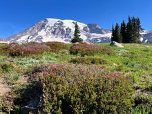 30 minutes into the hike. This view makes you forget the steep climb 