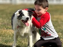 And Zora, the dog, his faithful and loving brother.