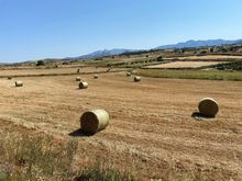 Along the way to the Temple of Demeter