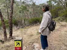 
To the “Waterfall”  (I’m calling out the fake news) 