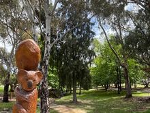 The koala is for Florida 😎