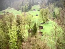 
More Bernese Oberland
