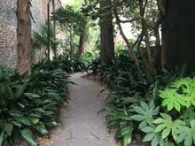 Looks like a garden at first ....