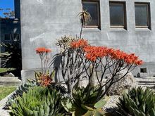 Gardens at the cathedral