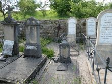 Pasteur family members 