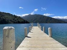 The jetty near Punga Cove