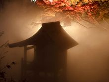 Evening Illumination