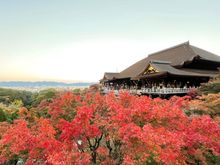 6:30 am Kiyomizu-dera 
