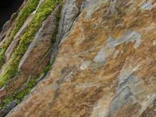 They gave the shutterbug the opportunity to get artistic.