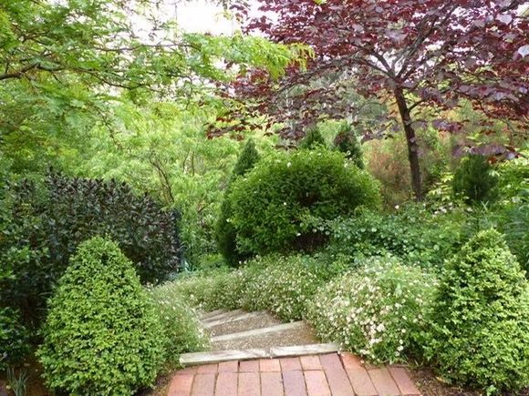 More layers of foliage