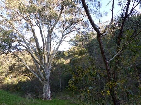 This is where I got lost....