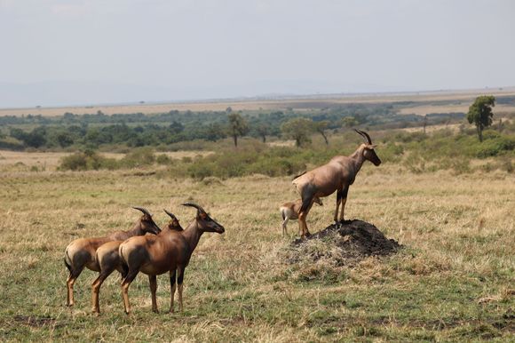 patiently waiting my turn.