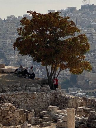 View from the citadel