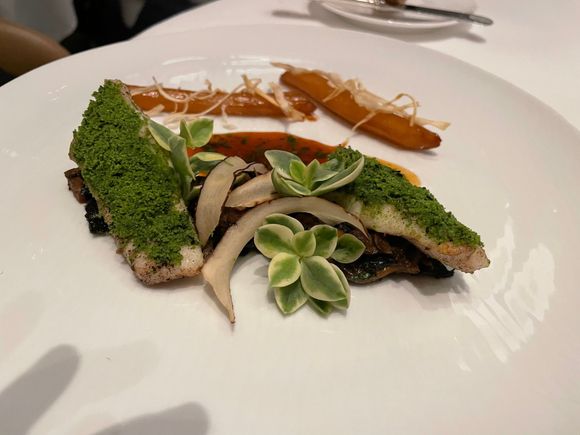 Millennial entree that looks like succulents! (John Dory)