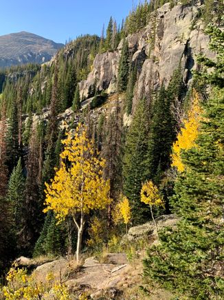 Aspens in higher elevations starting to turn