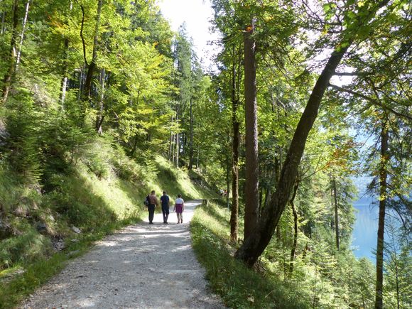 Beautiful, easy walk about 7 km