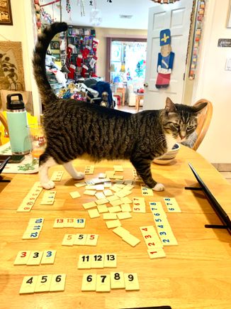 These 2 are for you Vicky. My cat Jax likes to join in