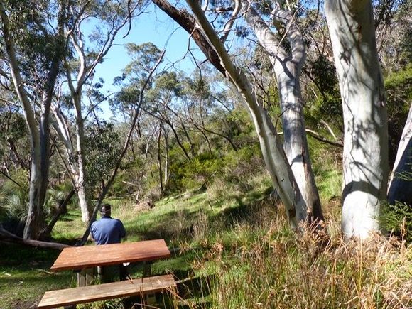Waterfall picnic area