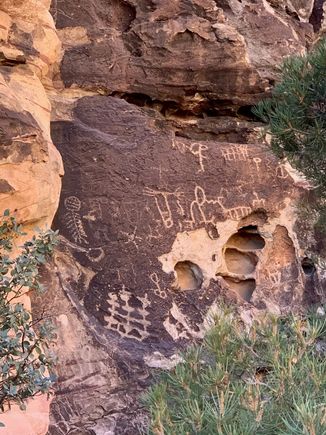These petroglyphs are apparently 1000 years old.