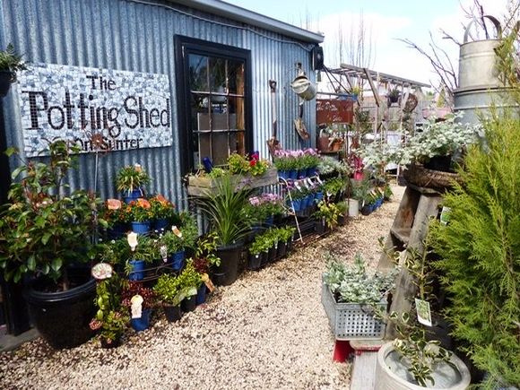 Popped into the nursery