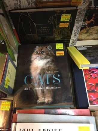 Found ziggy’s Christmas gift...